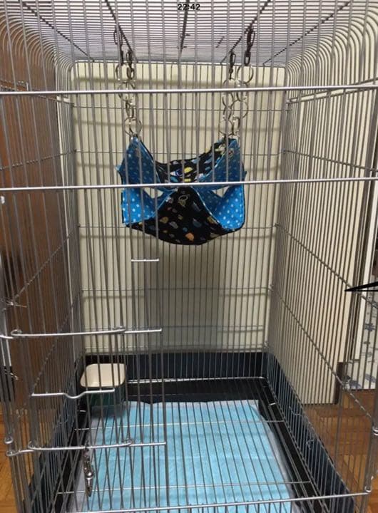 モモンガハウス(花柄Ver.2)  春・秋仕様      特価❗️ 1300円