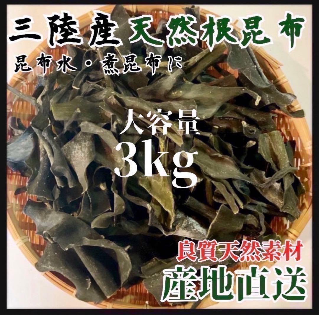 【岩手県産】乾燥根昆布　3kg 粘り強い　昆布茶　希少部位　煮物に最適　大量