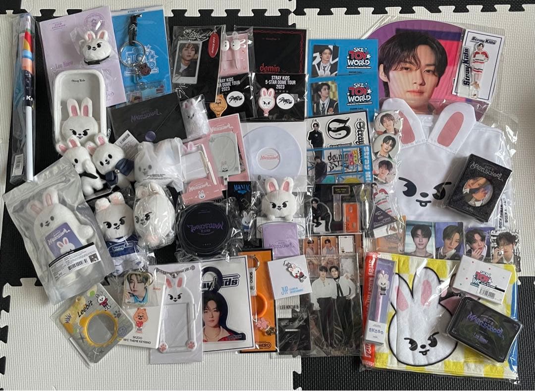 Strayk Kids ストレイキッズ リノ ハン