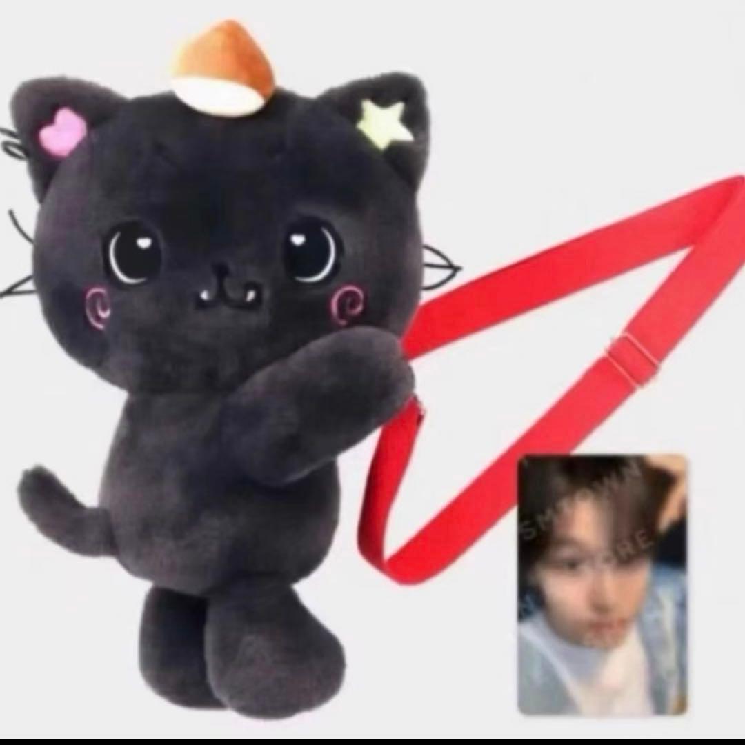 NCTWISH リク ぬいぐるみバッグ トレカなし