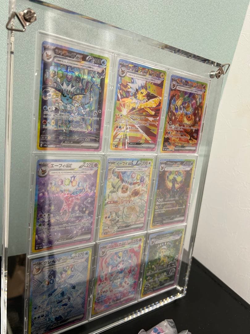 ブイズ ex sar 9枚セット　テラスタルフェス withd9連ケース付き