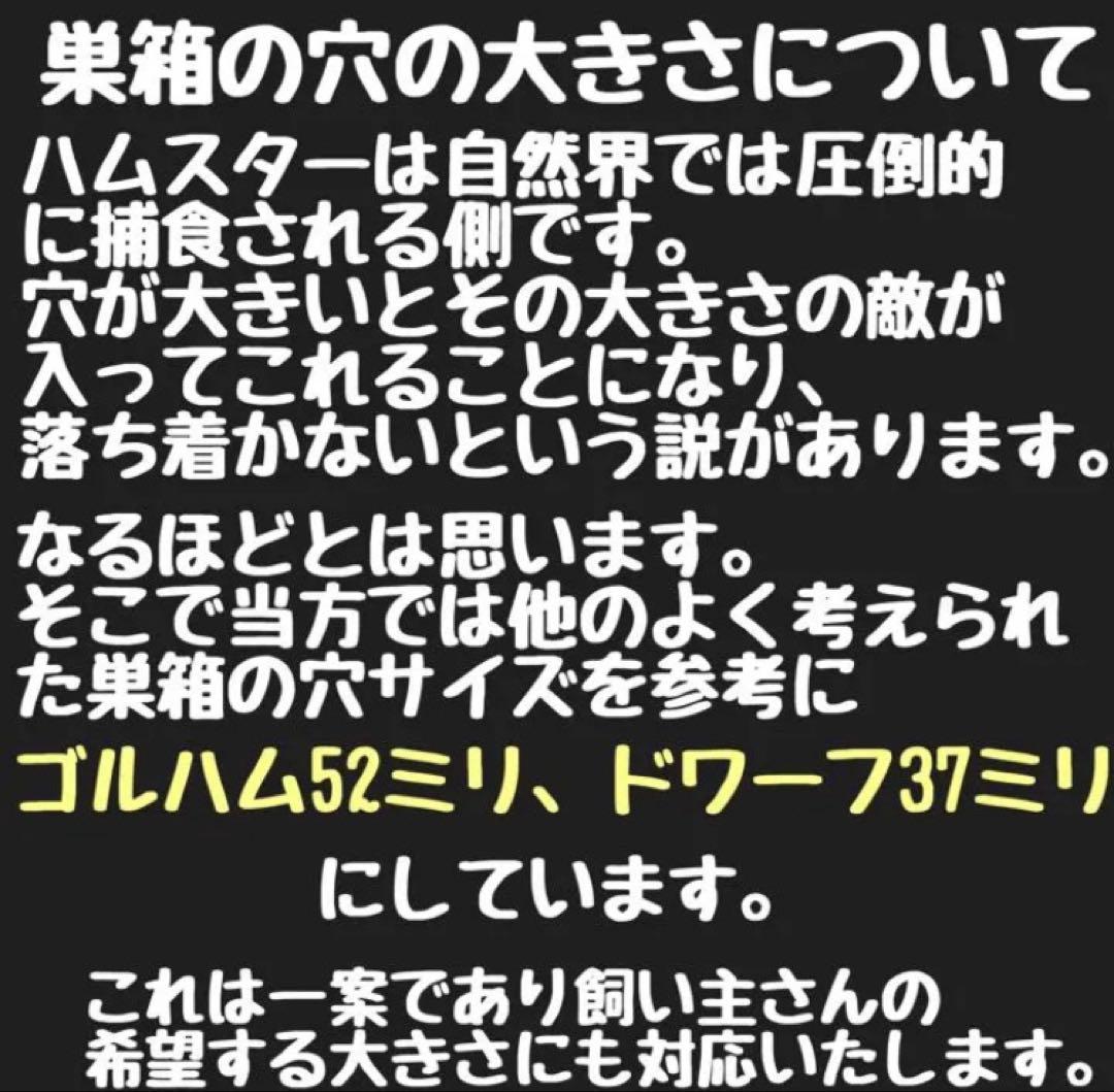 ライファー　ハムスター　ルーミィ60用　ロフト巣箱