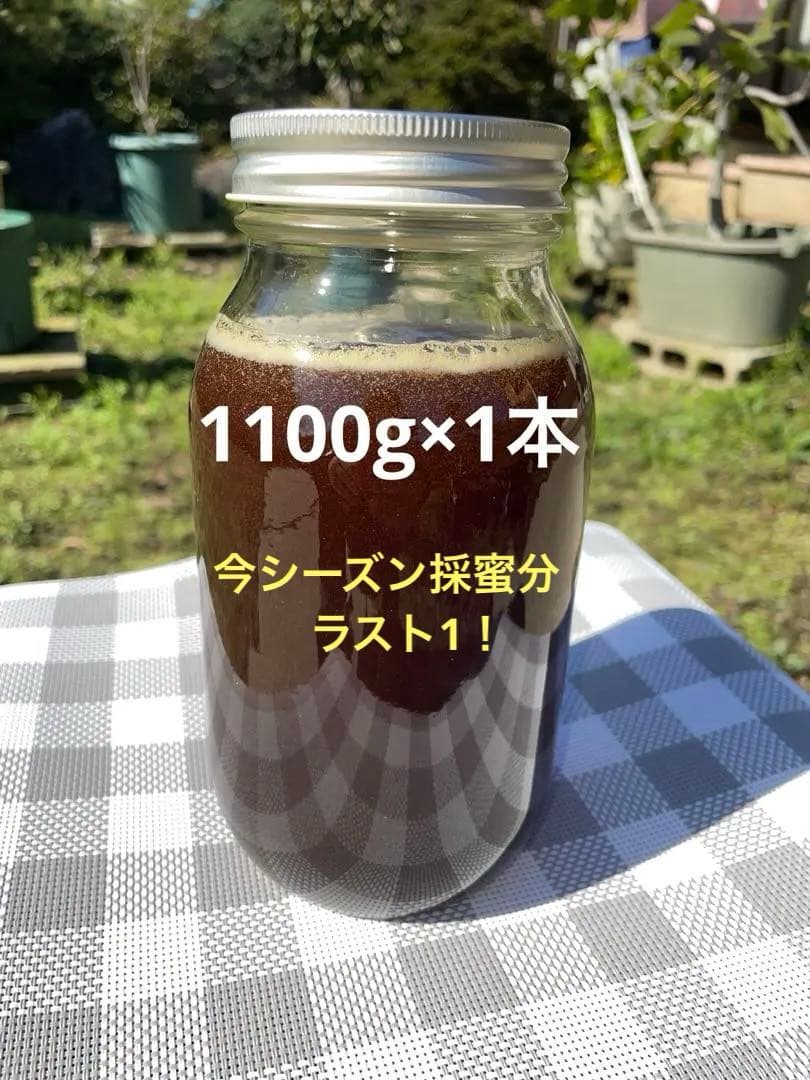 日本蜜蜂のハチミツ1100g×1本