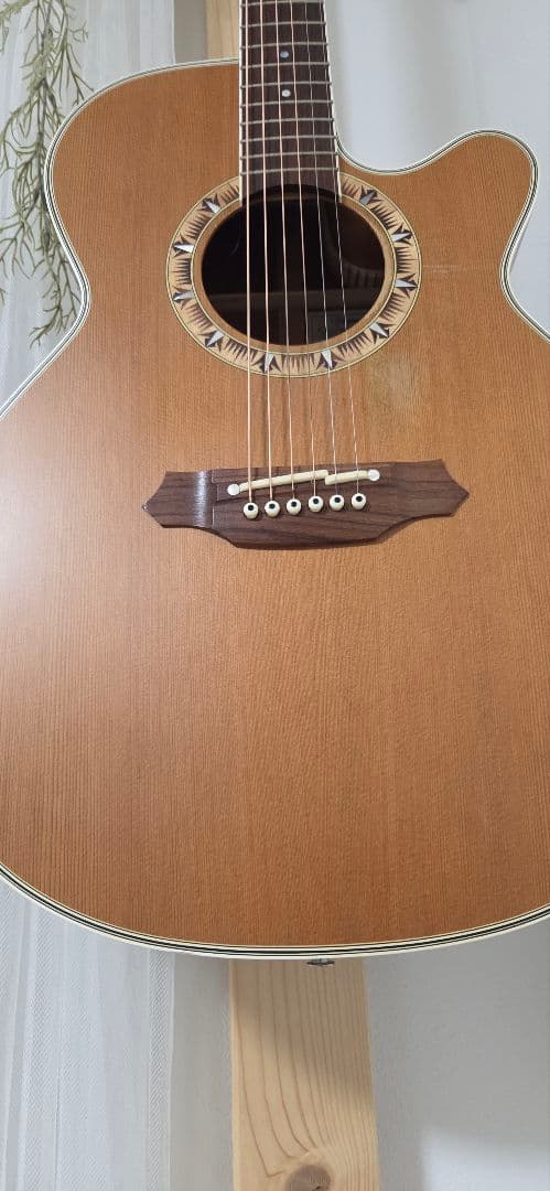 Takamine NPT-510アコースティックギター