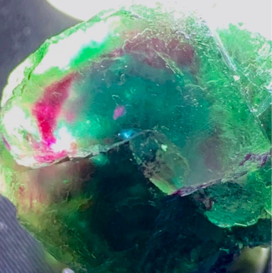 【奇跡のトリカラー】オコルス フローライト 標本