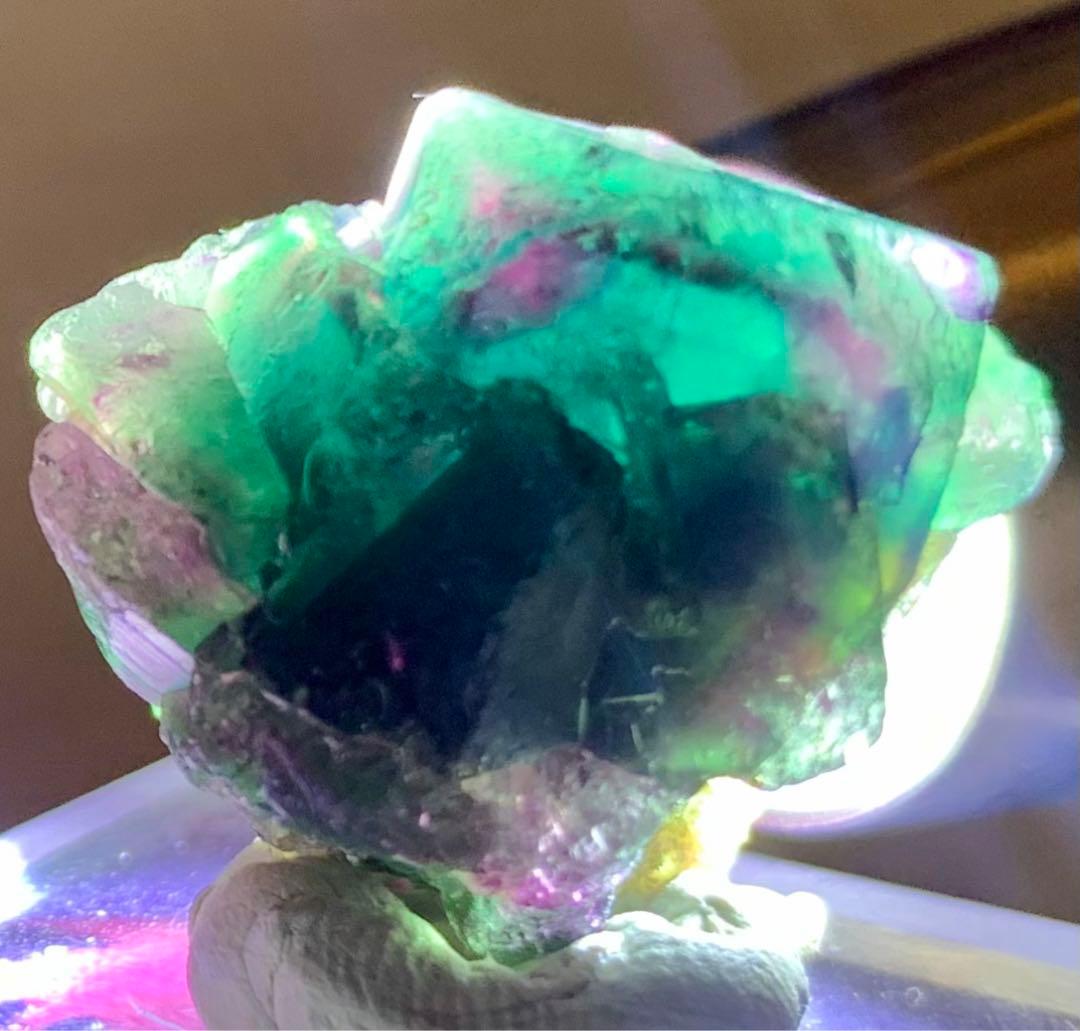 【奇跡のトリカラー】オコルス フローライト 標本