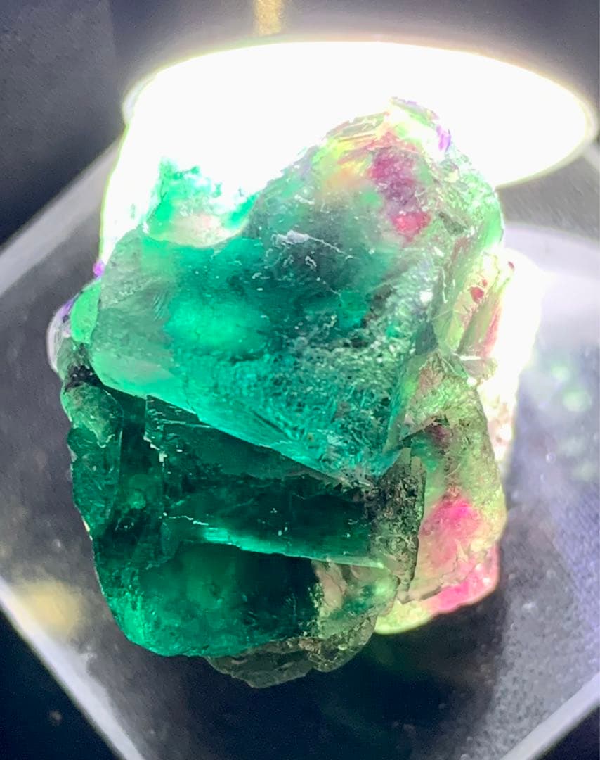 【奇跡のトリカラー】オコルス フローライト 標本