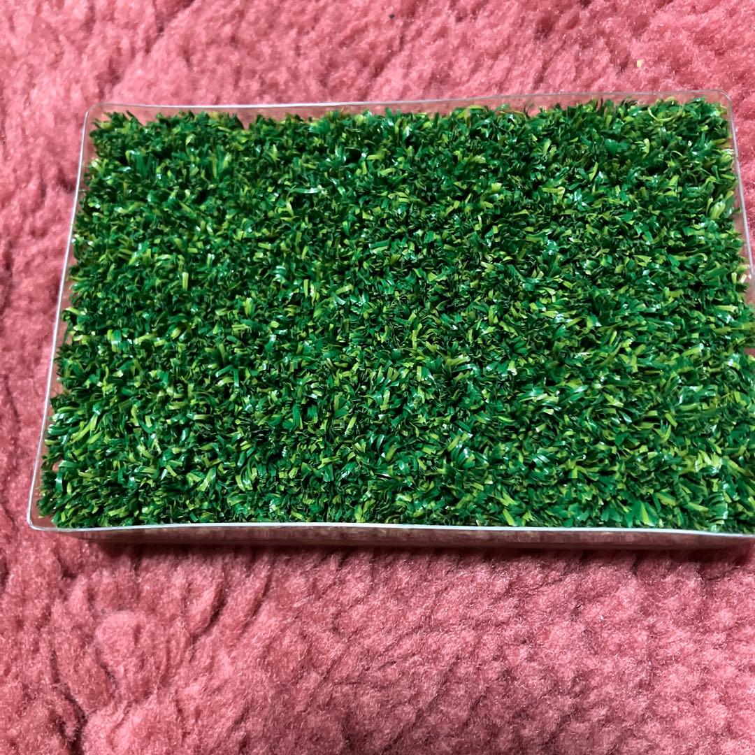 阪急ブレーブス　西宮球場　人工芝