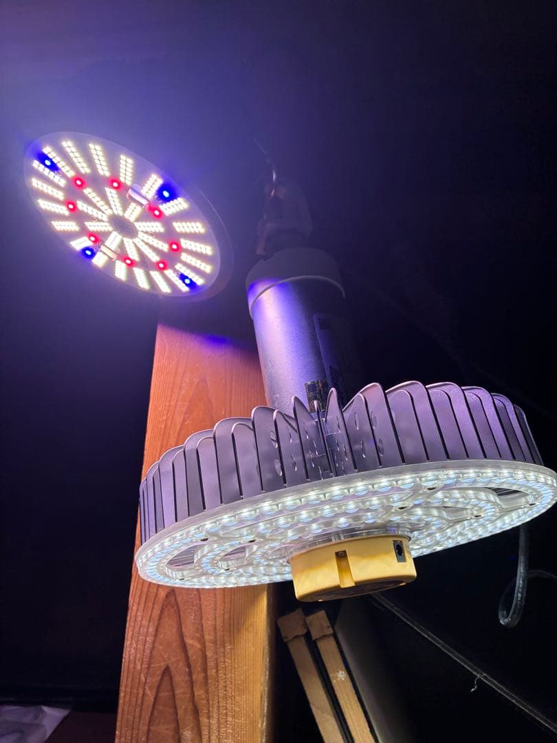 Miracle Punchy LEDライト　2個