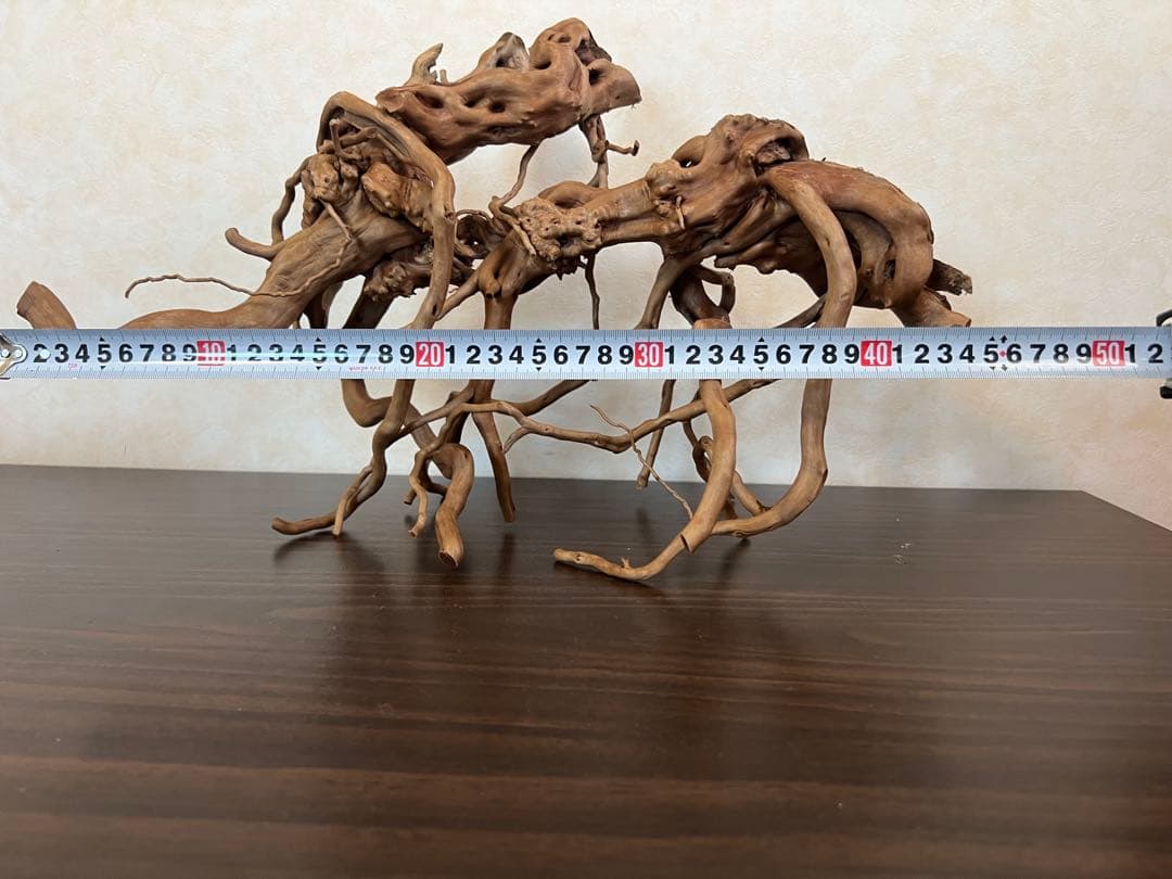 13004 ブランチウッド　流木　アクアリウム　沈水確認済