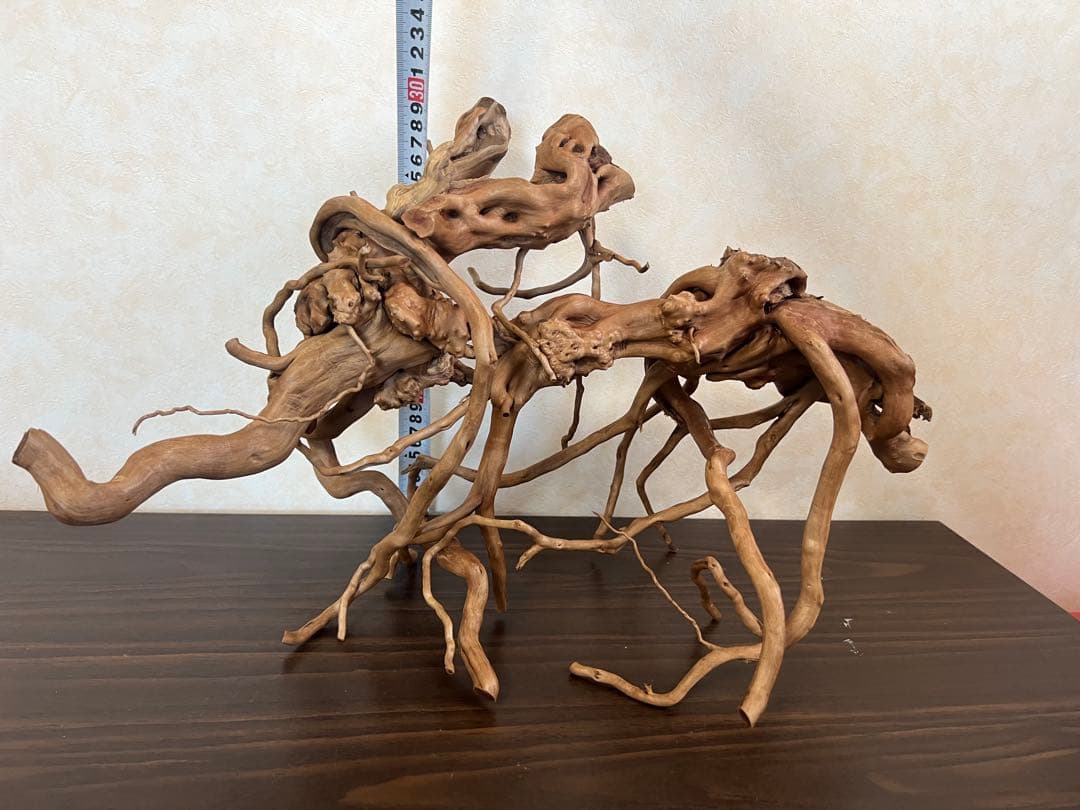 13004 ブランチウッド　流木　アクアリウム　沈水確認済