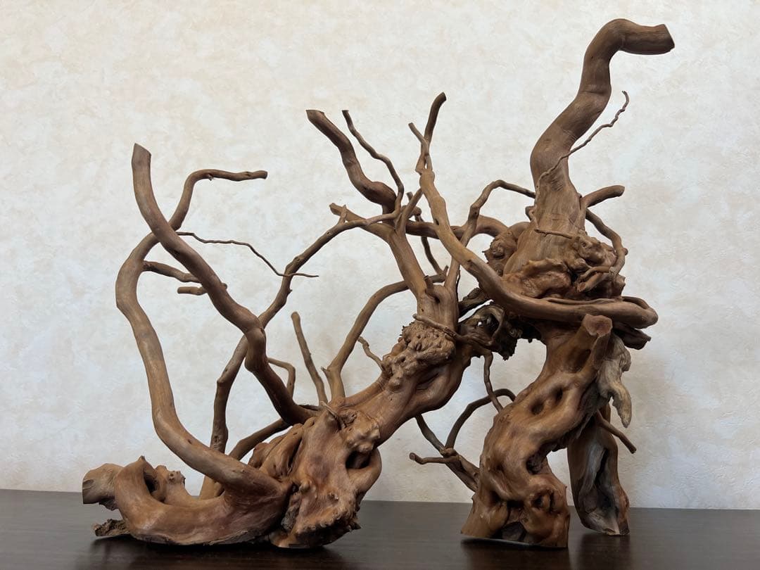 13004 ブランチウッド　流木　アクアリウム　沈水確認済