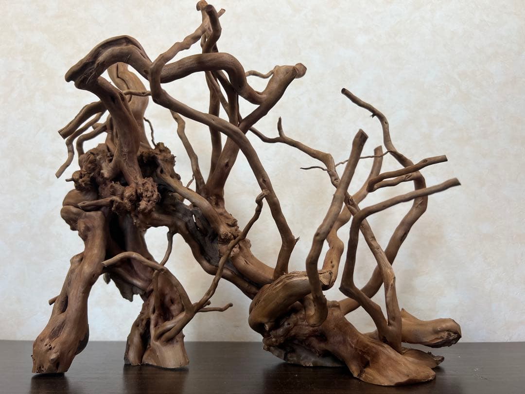 13004 ブランチウッド　流木　アクアリウム　沈水確認済