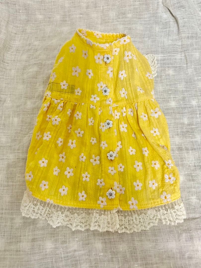 アトリエgg⭐︎ シークワーサーの花 ⭐︎ワンピース⭐︎１ハーフ