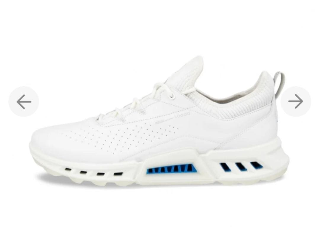 ecco バイオム C4 BIOM