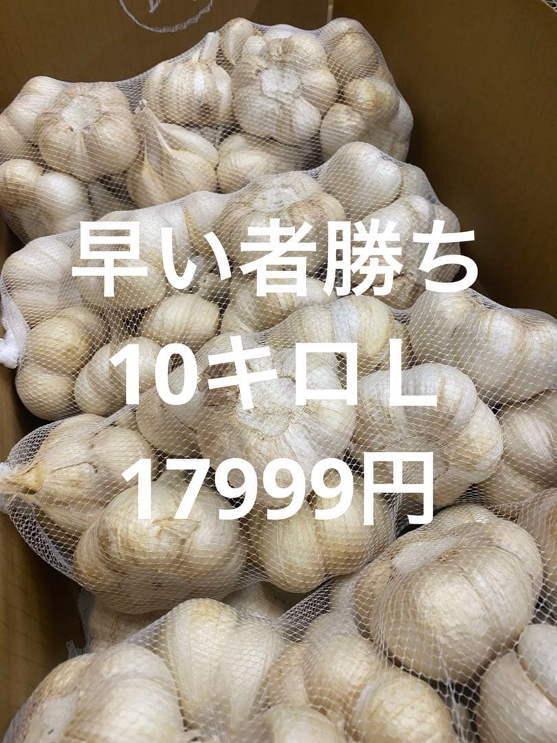 新物　青森県にんにく10Kg Ｌ土日セール