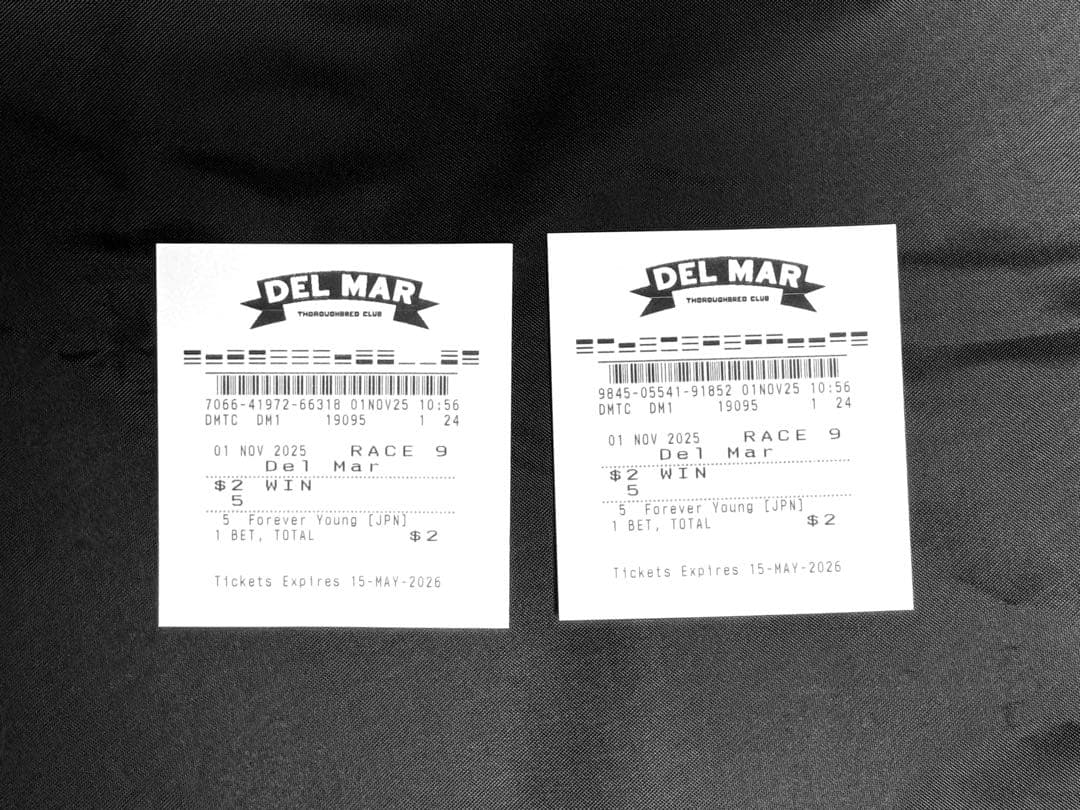 フォーエバーヤング BCクラシック 2025現地 単勝馬券