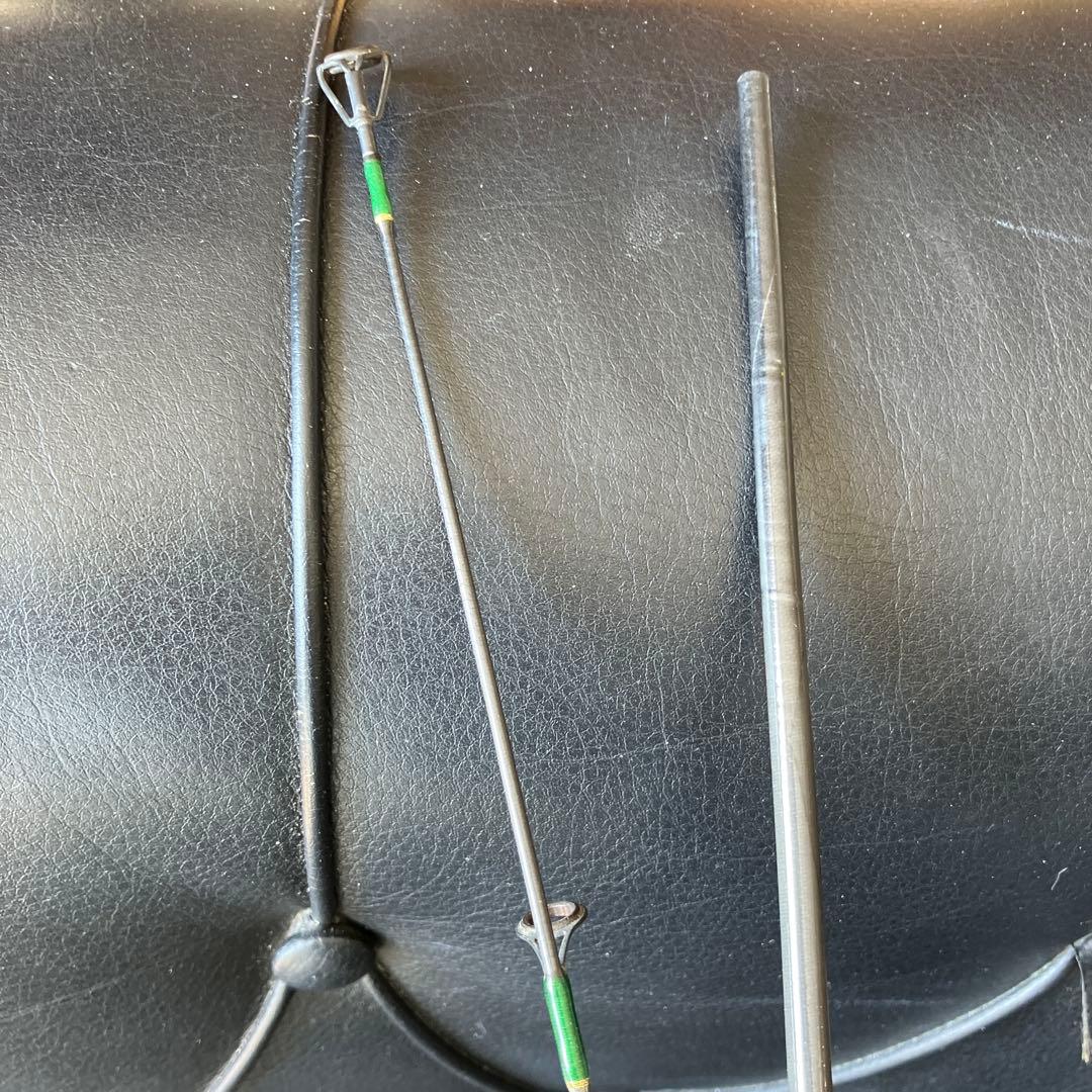 FENWICK. EAGLE. ロッド