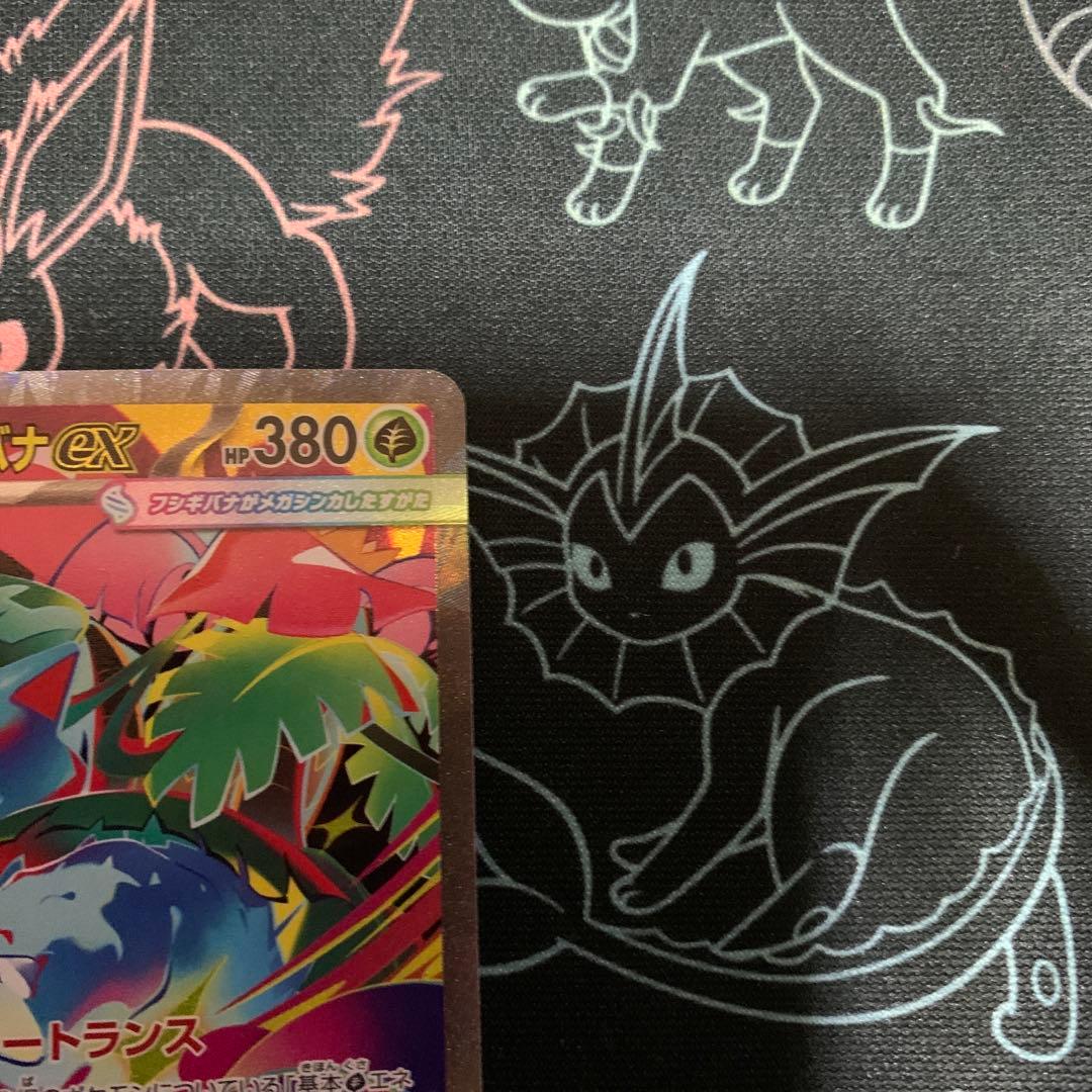 メガフシギバナex SARセット