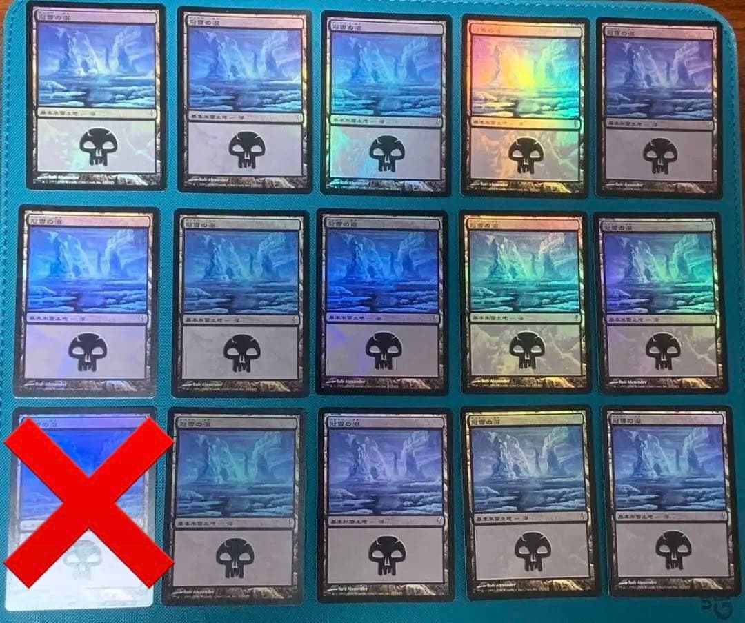 セット日本語Foil《冠雪の沼/-Covered Swamp》CSP