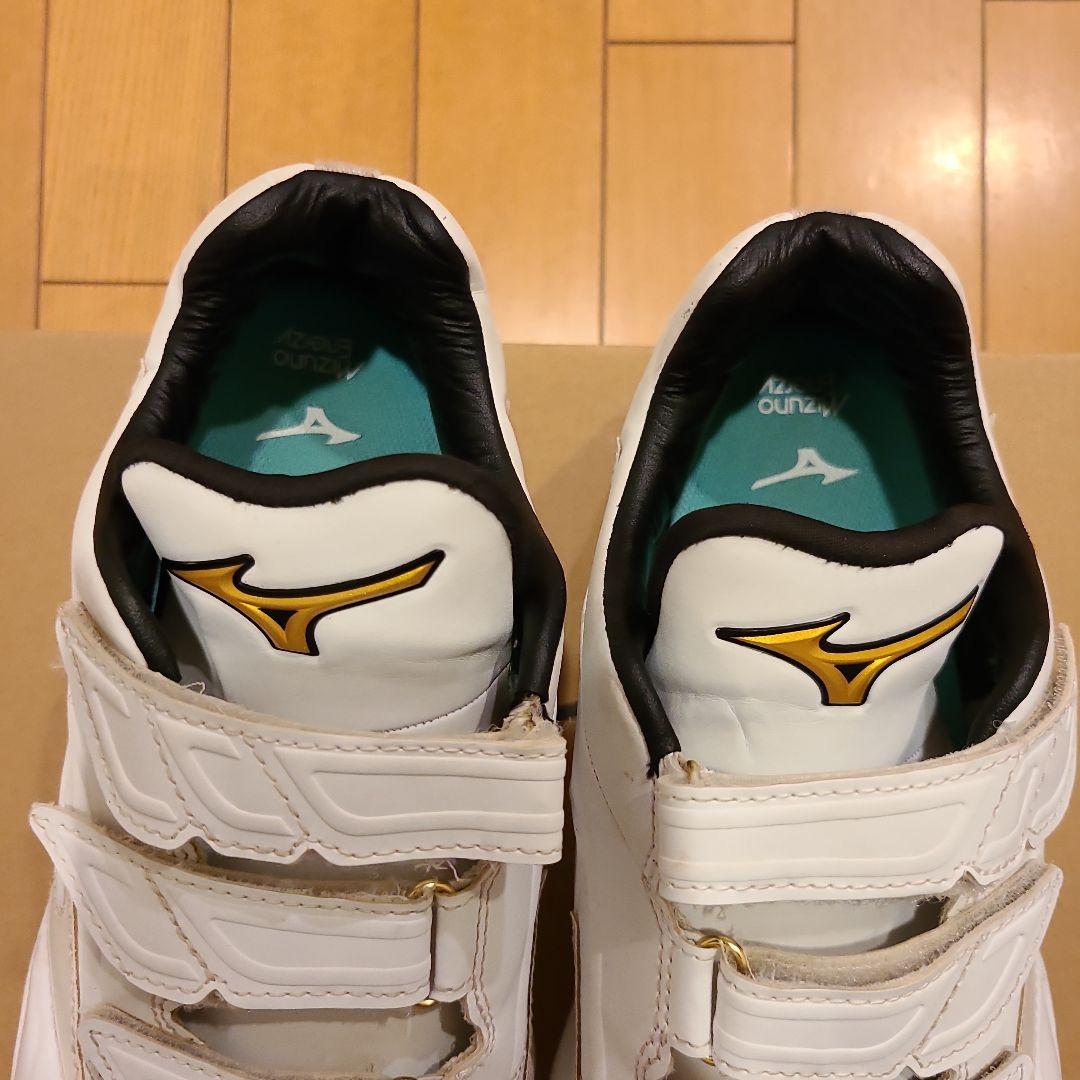 ミズノプロ トレーニングシューズ 27.0㎝