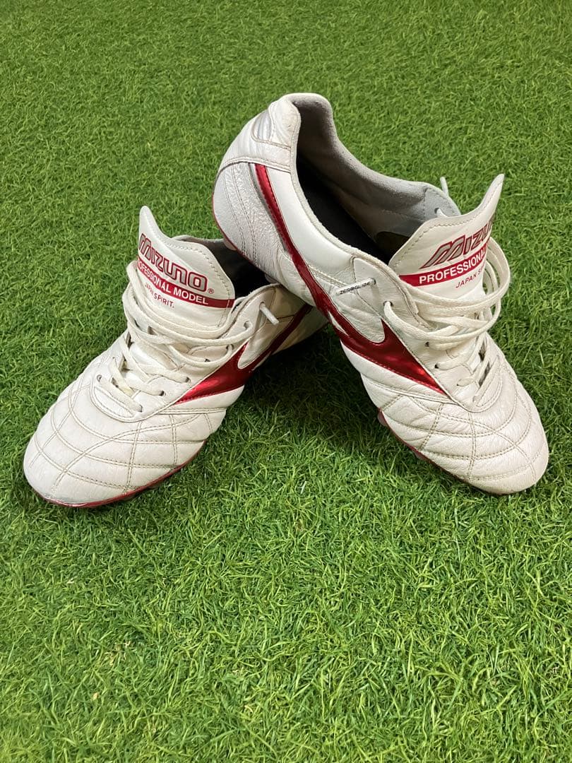 【限定品】モレリア2JAPAN AG 25.0cm