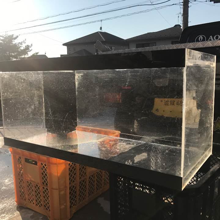 滋賀 AQUAFISH 水槽