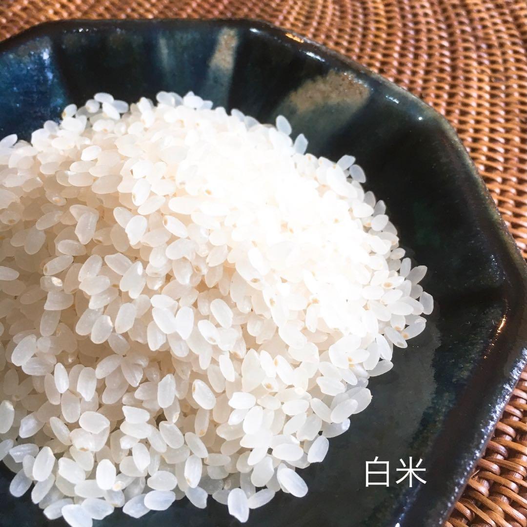 新米R7年産◎低農薬 【特別栽培米】あきたこまち 白米20kg(10kg×2)
