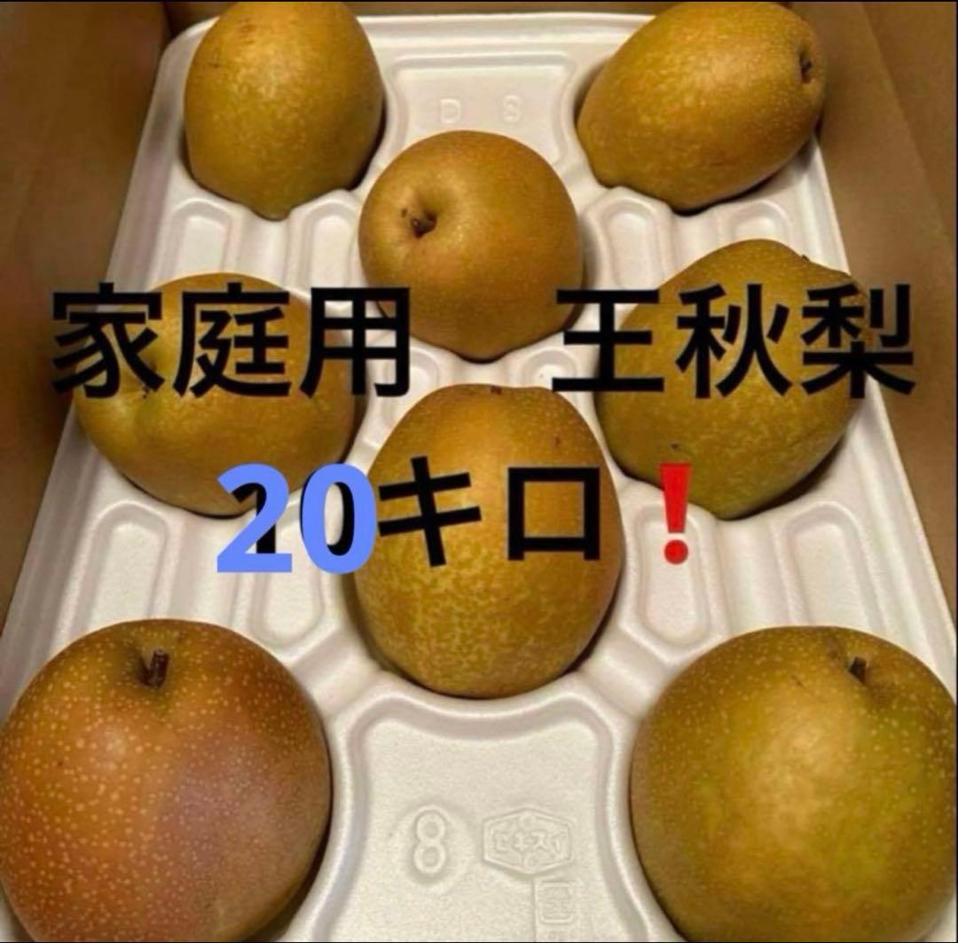 甘い　王秋梨　20kg