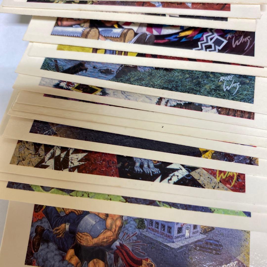 Robert Williams ポストカードセット