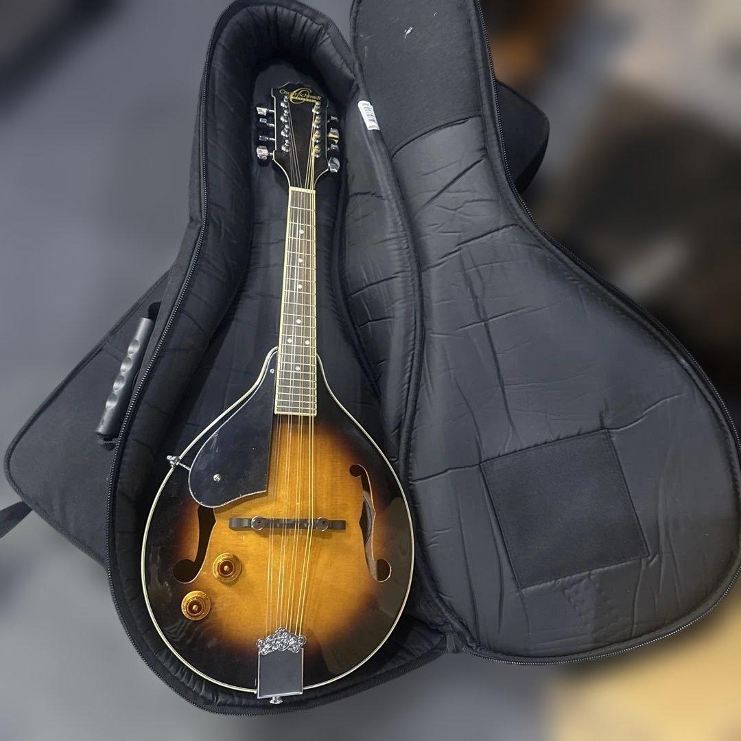 フラットマンドリン/Mandolin Lovers Club