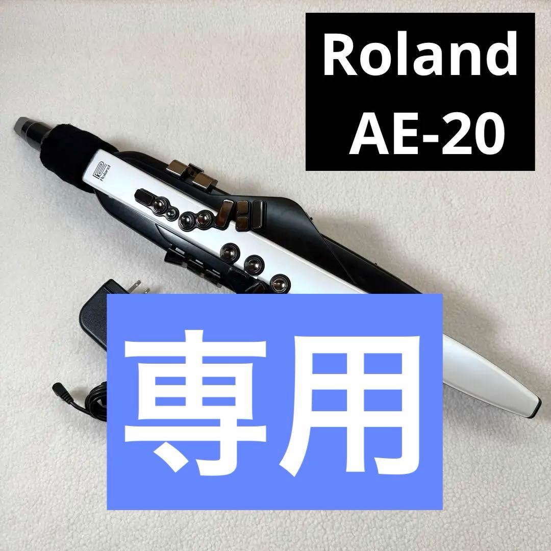 Roland Aerophon AE-20 ローランド エアロフォンAE-20