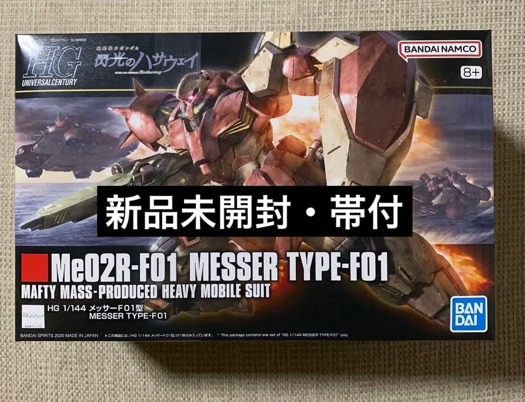 HG デスティニーガンダム　RG ガンダムアストレイ ゴールドフレーム天ミナ