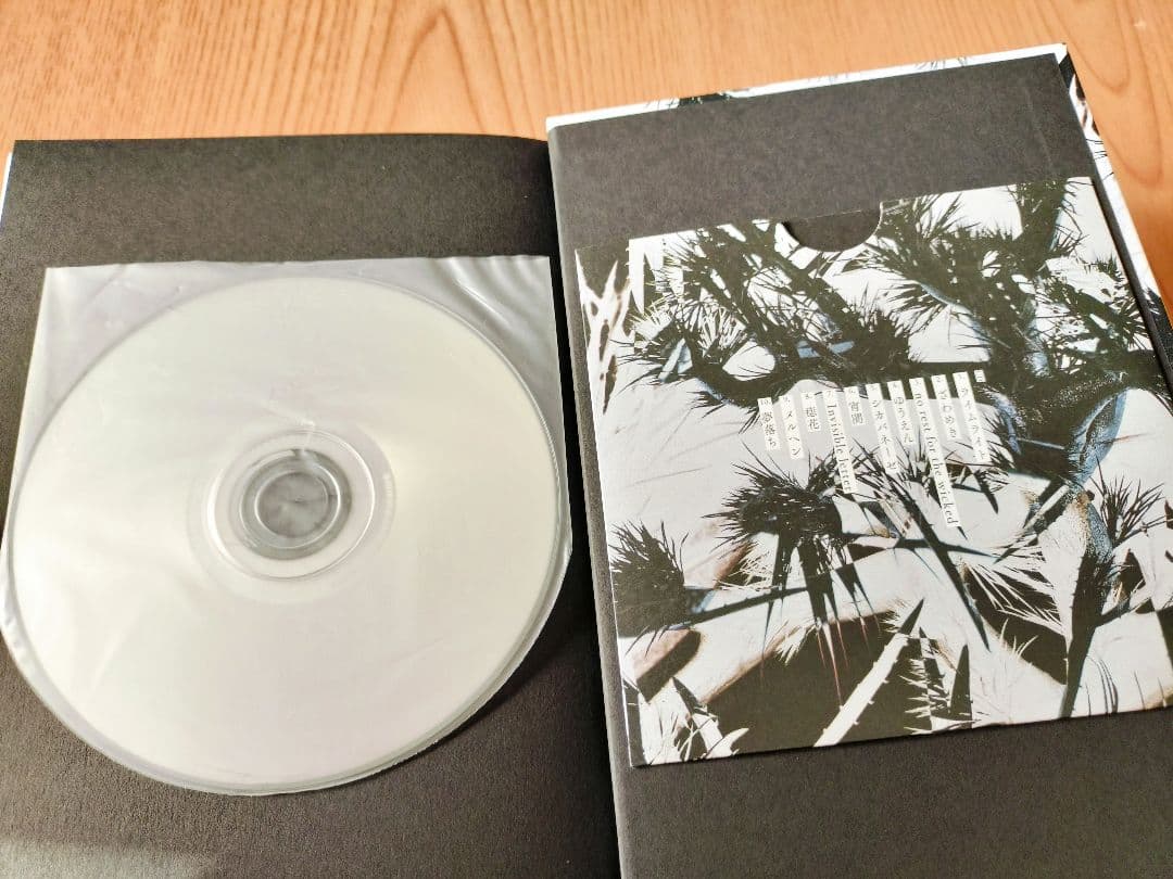 Plastic Tree グッズまとめ売り