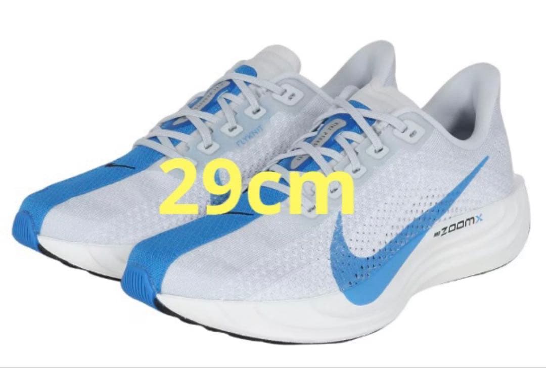 ナイキ ペガサスプラス 29cm