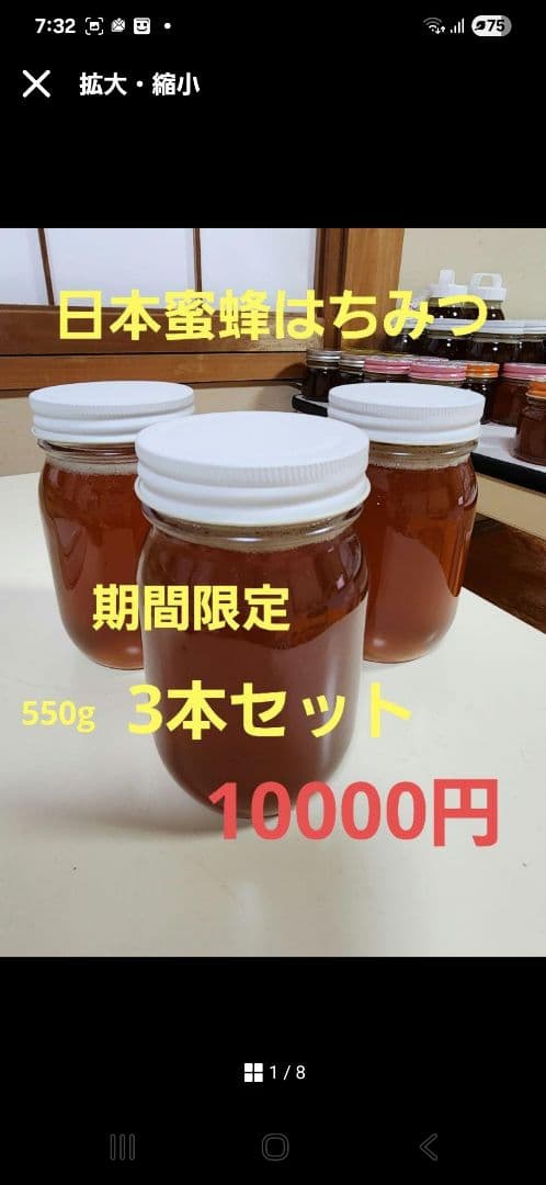 日本蜜蜂はちみつ　550g 3本セット