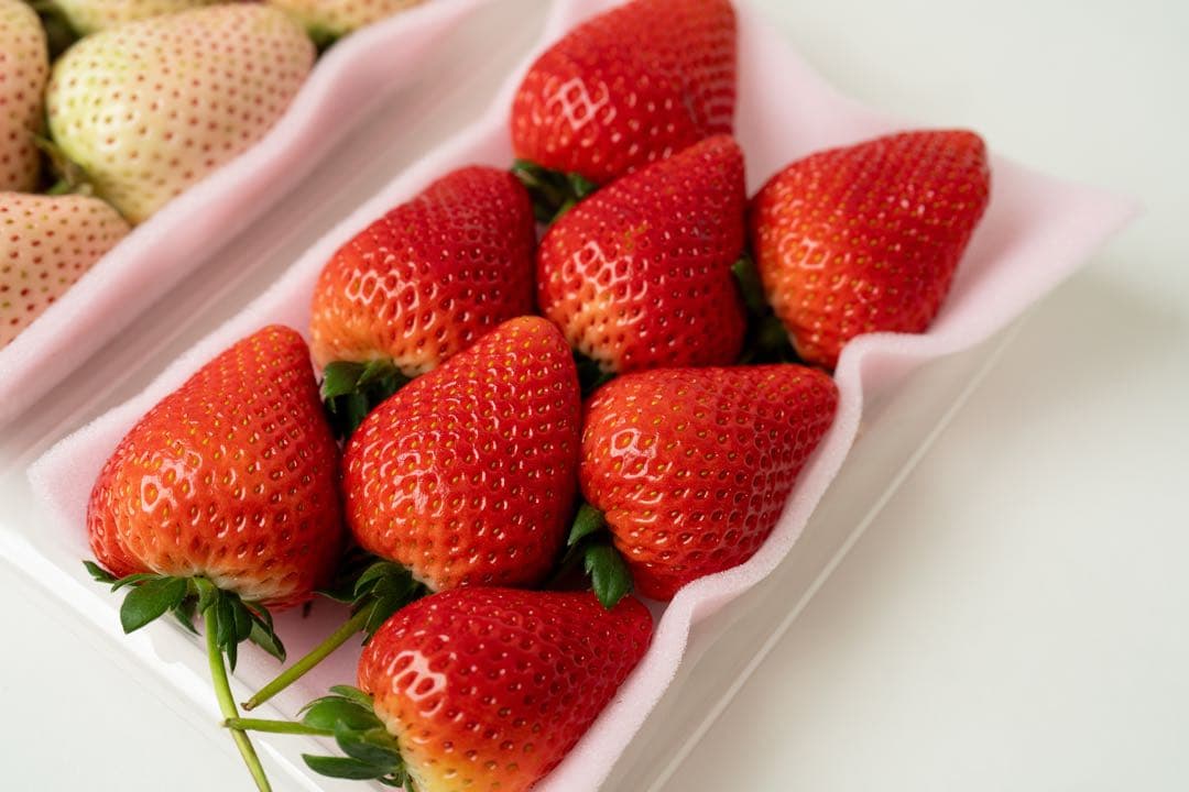 まーちゃんさん専用