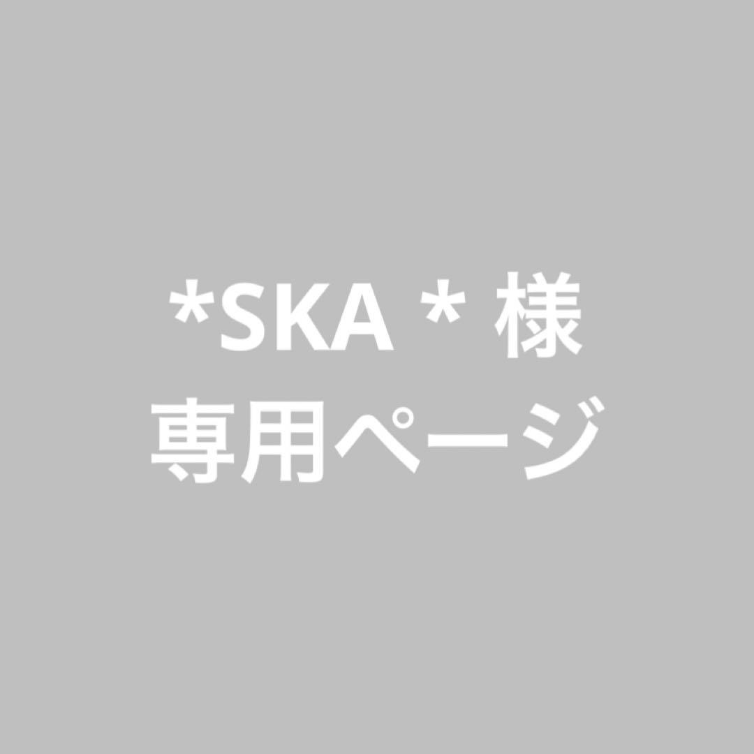 *SKA * ページ