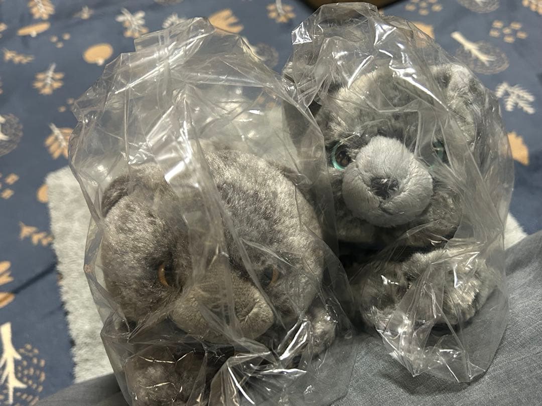 ひざねこ スコティッシュフォールドGY ロシアンブルーS ぬいぐるみ