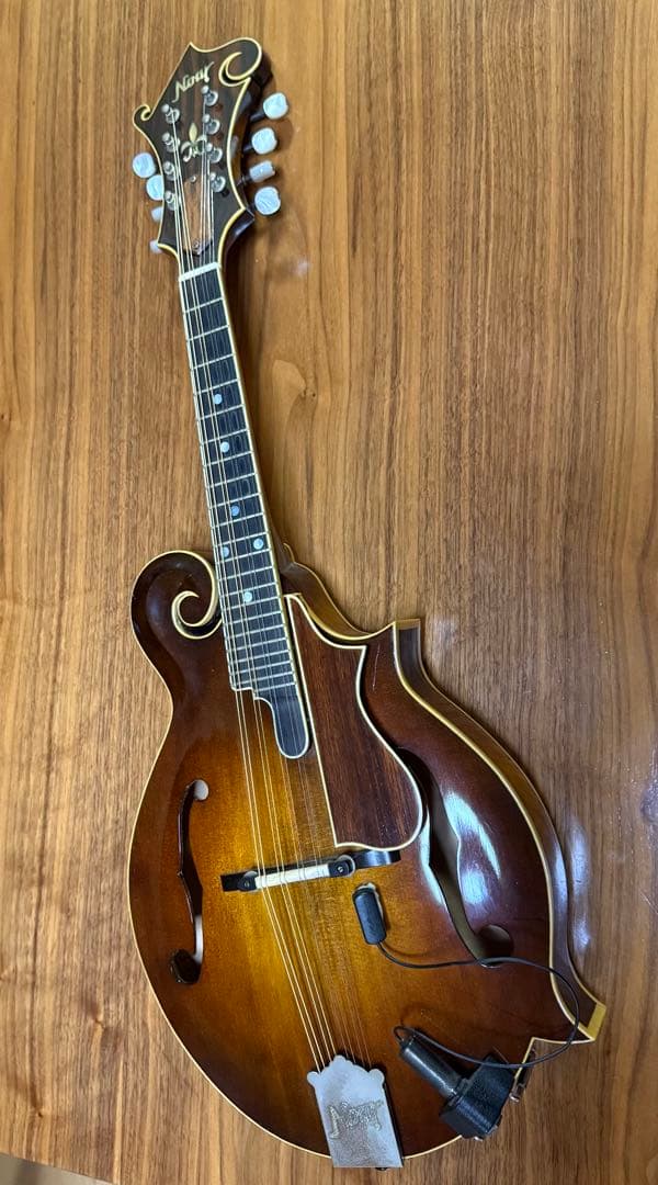 大幅値下げしました！Noar マンドリン サンバースト 8弦