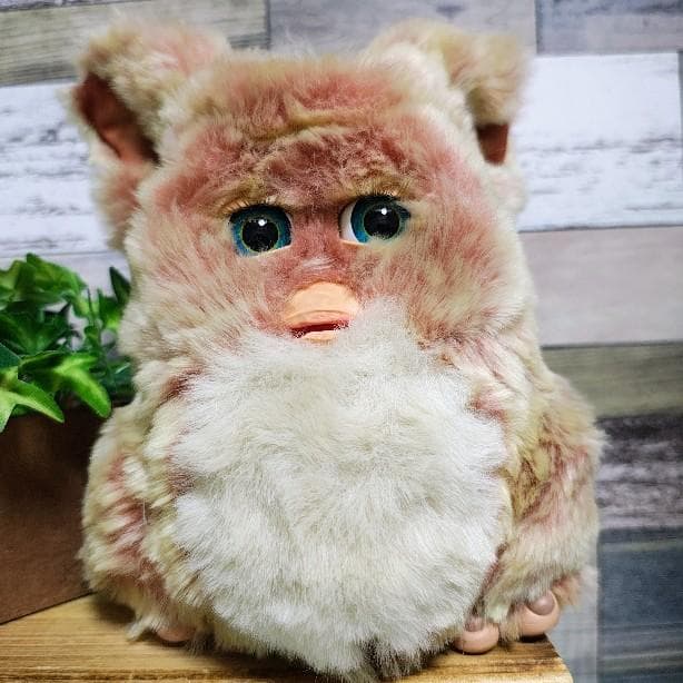 ファービー2　クランベリークッキー　青目　英語版 furby2 #14