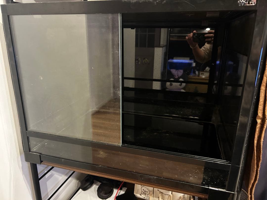 Repti Wild パンテオン　6045