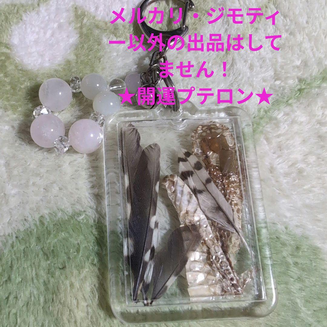 呪物　曰く付き　開運　珍品　新品　コゲラの羽とアオダイショウの皮　キーホルダー