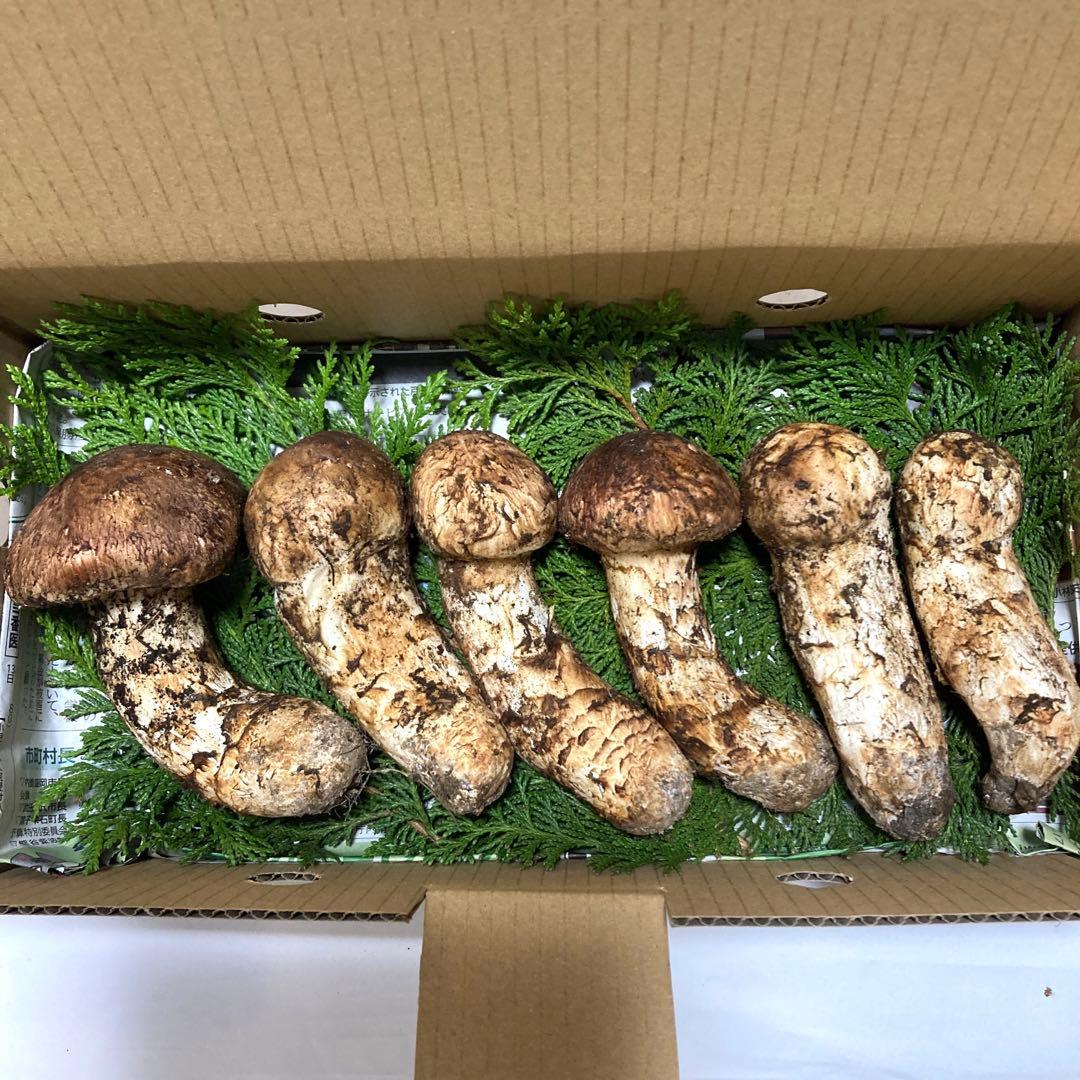 岩手県産　松茸　(400g)超え