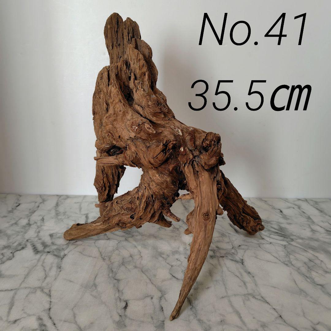 アク抜き済み流木【41】