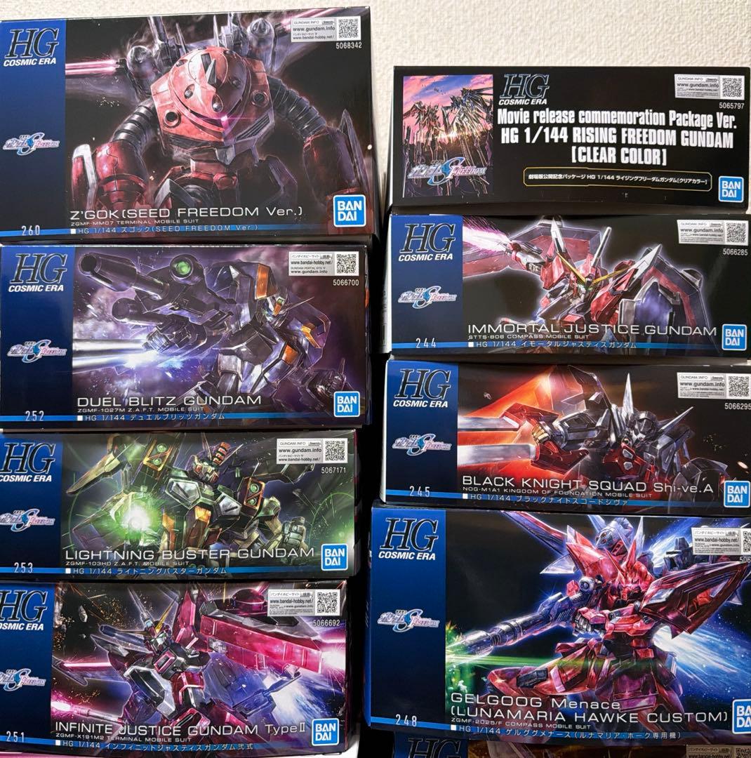 HG RG ガンプラまとめ売り