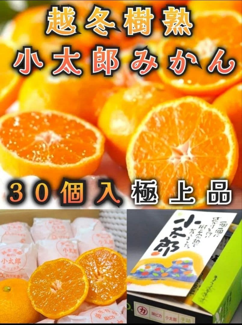 極上品質 愛媛産 味ピカ一【小太郎 越冬 みかん】30個入り 専用化粧箱