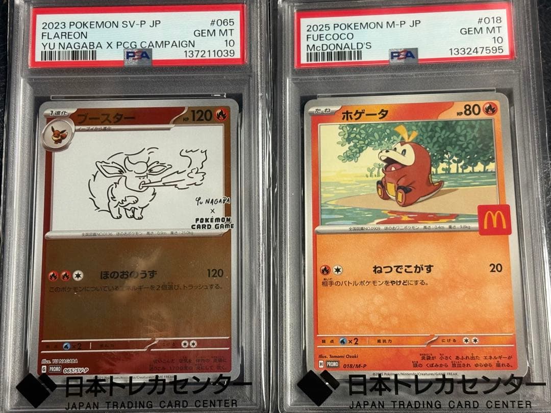 [PSA10] ブースター2023 POKEMON SV-P JP ホゲータ