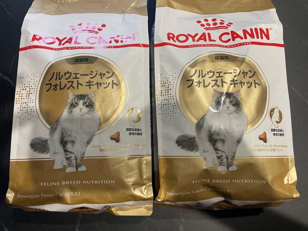 ロイヤルカナン　ノルウェージャン　フォレストキャット　2kg×2袋