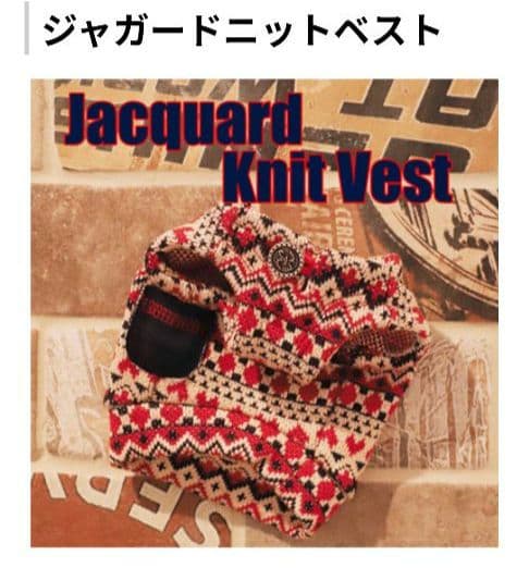 アトリエgg　ジャガードニットベスト